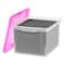 IRIS Pink & Clear Snap Tight Plastic File Organizer Box, 4ct.